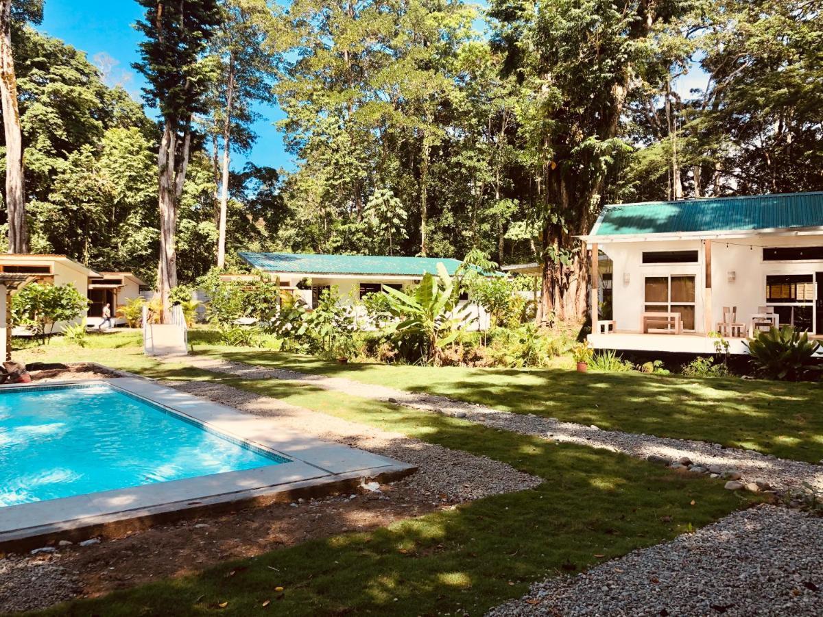 Sonora Jungle & Yoga Retreat Puerto Viejo de Talamanca Exterior foto