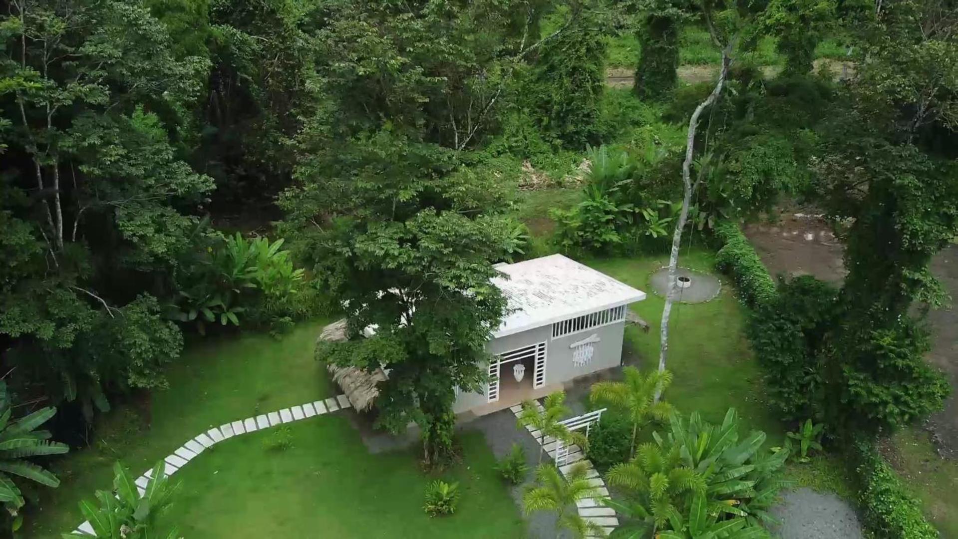 Sonora Jungle & Yoga Retreat Puerto Viejo de Talamanca Exterior foto